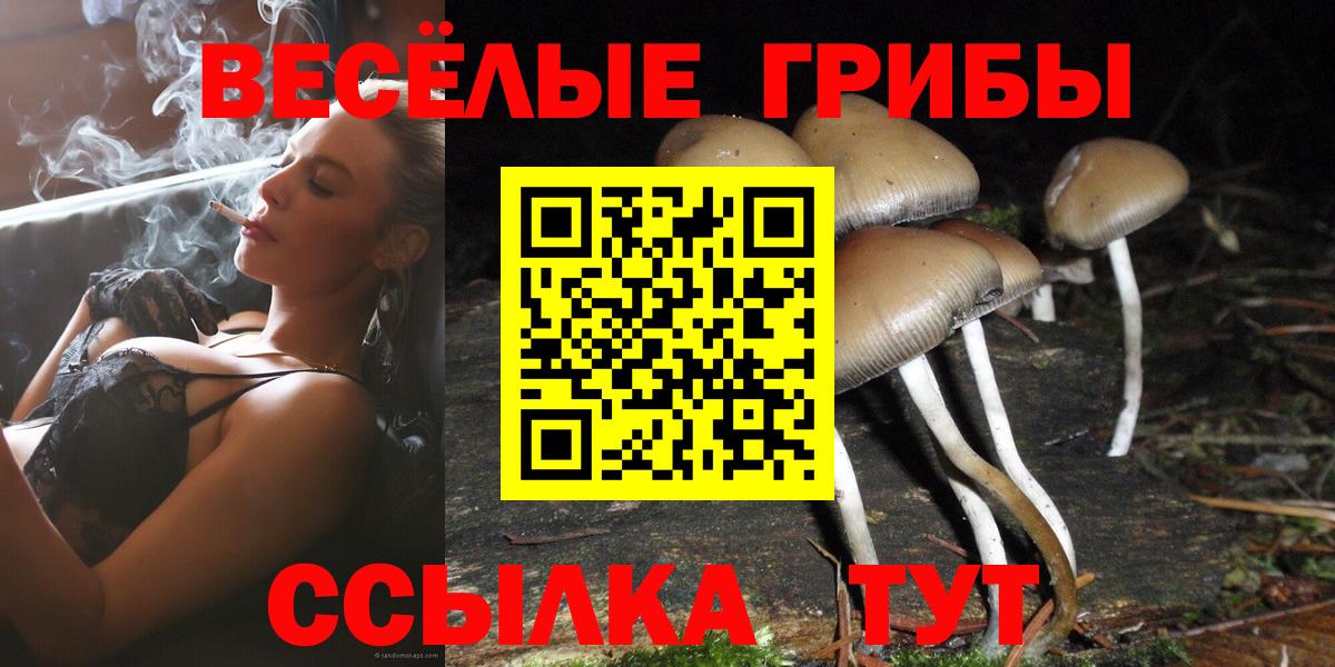Северск  Псилоцибиновые грибы ЛСД  Вход с VPN 